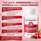 el arandano ayuda a combatir bacterias noacivas, reduce el riesgo de its, actua como antioxidante natura, apoya el equilibrio del p ueinario.
