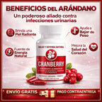 beneficios del arandano, piel radiante, bajar de peso, fuente de energia natural, ayuda a mejorar la salud del corazon.