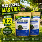 Semillas de Césped Fuerte FertiLab 100g | Mezcla Sol y Sombra | Alta Germinación