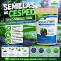 Semillas de Césped Fuerte FertiLab 100g | Mezcla Sol y Sombra | Alta Germinación