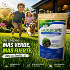 Semillas de Césped Fuerte FertiLab 100g | Mezcla Sol y Sombra | Alta Germinación