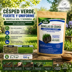 Semillas de Césped Fuerte FertiLab 100g | Mezcla Sol y Sombra | Alta Germinación